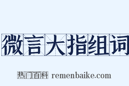 微言大指组词是什么意思的图片